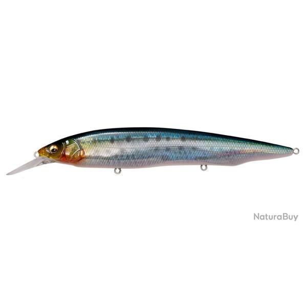 KANATA +1 SW - FA IWASHI