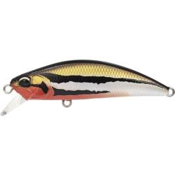 RYUKI 50 SK SPEARHEAD - CCCZ335 UGUI