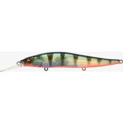 VISION 110 +1 - GP RED FIN PERCH (SP-C)