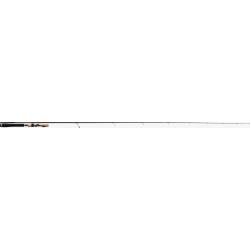 CANNE TENRYU INJECTION FAST FINESS L