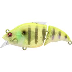 VIBRATION X VATALION SS - GP SEE THROUGH CHART GILL (SP-C)