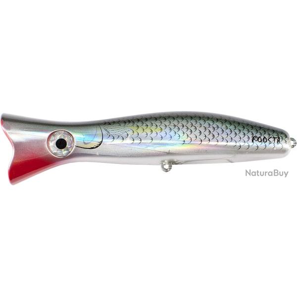 ROOSTA POP 135 - R25 MULLET
