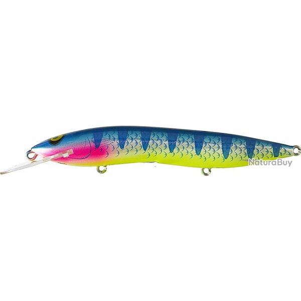 SORCERER 150 R2 BLUE STIPE