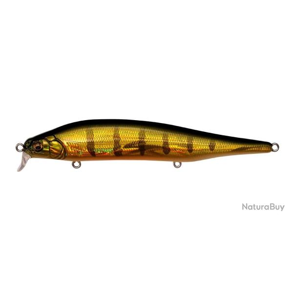 ITO SHINER SSR - GG PERCH