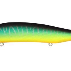 ITO SHINER SSR - MAT TIGER