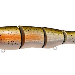 SPINE-X 190F - GLX RAINBOW