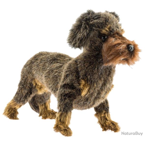 Peluche Teckel � poil dur debout