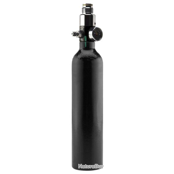 Bouteille Aluminium 0.2L Dye avec r�gulateur 3000 psi