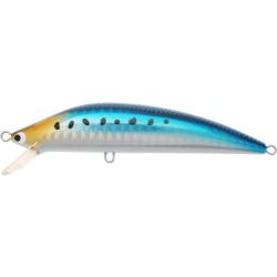 K TEN BLUE OCEAN S [BKS] 90 - 111 SARDINE