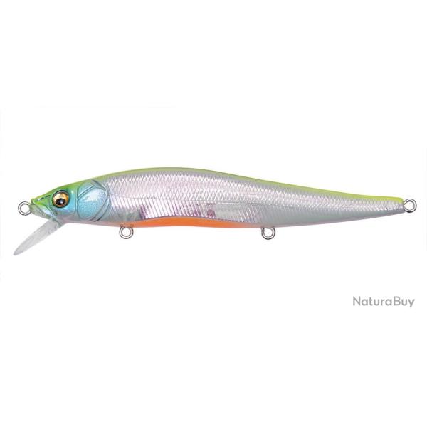VISION 110 FW - AURORA REACTION