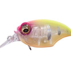 SRX GRIFFON - EIGHT REACTION