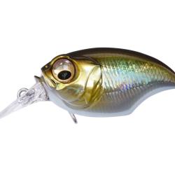 SRX GRIFFON - GG MOROKO