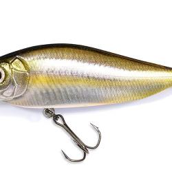 FLAP SLAP - FA STRIPED SHINER