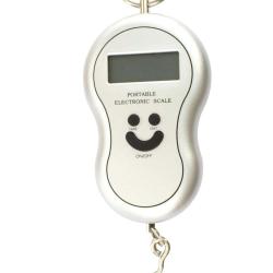 Peson &eacute;lectronique 40kg