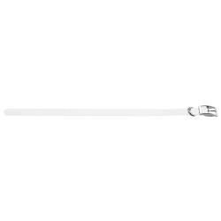 Collier pour chien 2,5 cm en polyur&eacute;thane - Country Collier Blanc