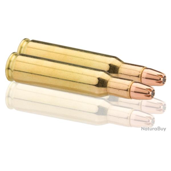 Sologne Cal. 222 REM Subsonique