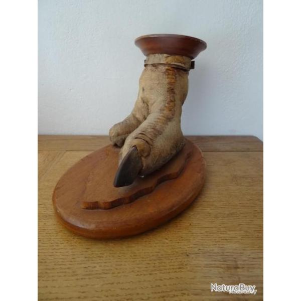 Pied d'autruche naturalis� formant vide-poche