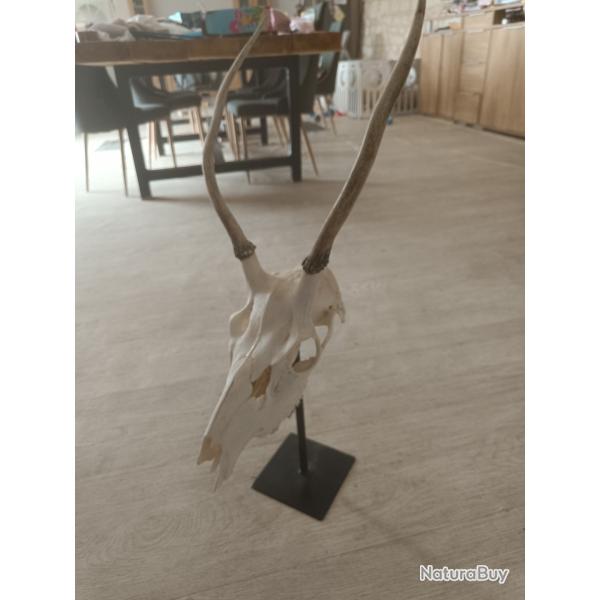 Support pied d'estale en acier