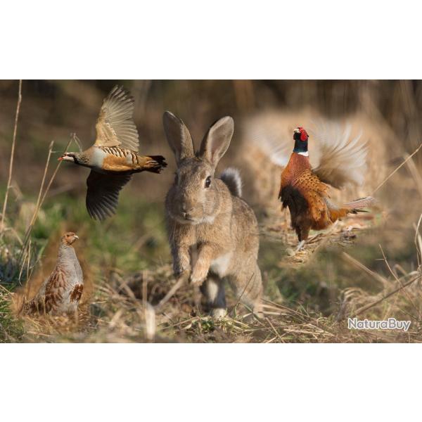 recherche territoire chasse