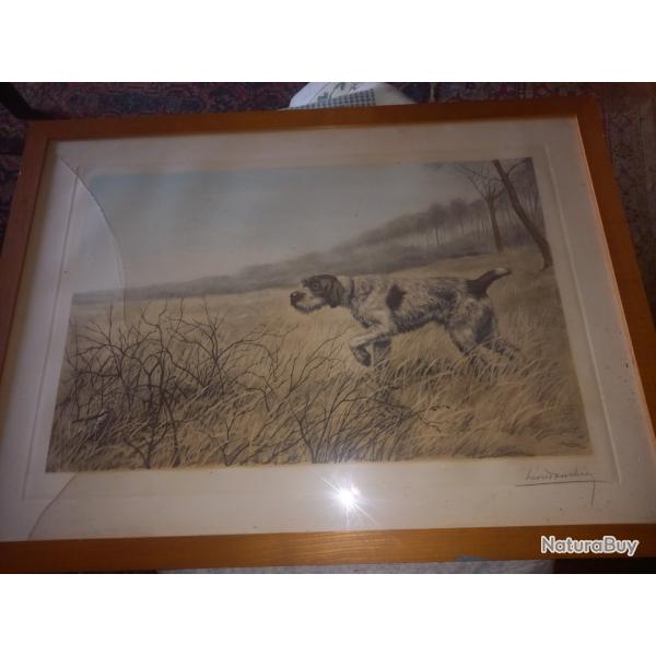 Gravure signe leon d'anchin grifon  l'arrt devant bcasse