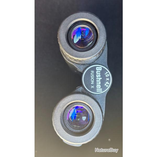 Bushnell fusion x 10x42