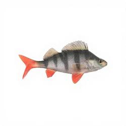 Leurre souple FOX RAGE Replicant perch 18cm