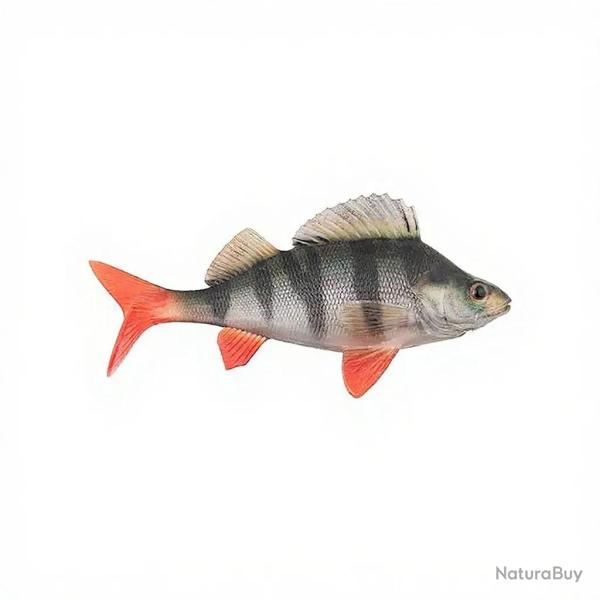 Leurre souple FOX RAGE Replicant perch 18cm