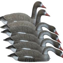 Pack 6 oies rieuses flottantes fond plat SPORTPLAST