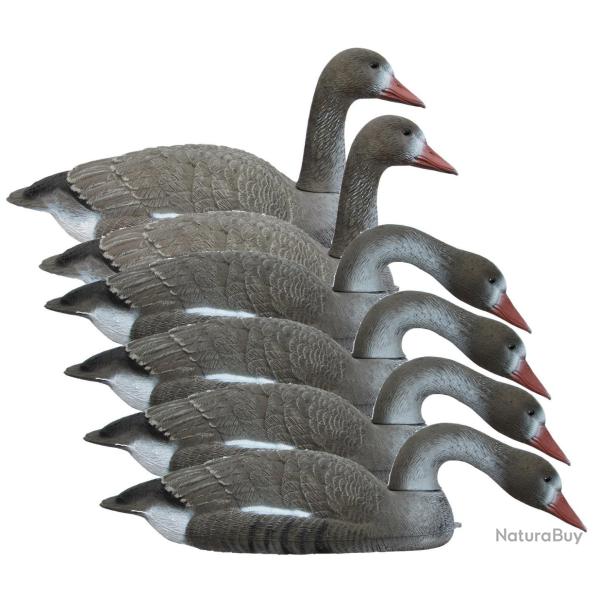 Pack 6 oies rieuses flottantes fond plat SPORTPLAST