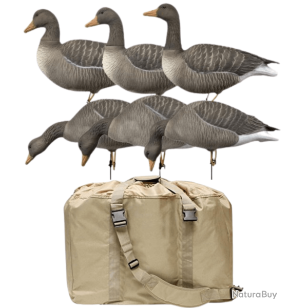 Pack 6 oies cendr�es � pattes full HD avec sac de transport XTREM MIGRATEURS