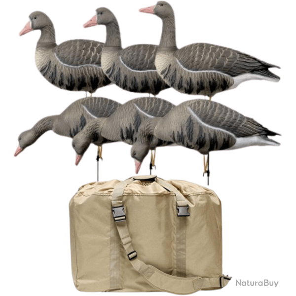 Pack 6 oies rieuses  pattes full HD avec sac de transport XTREM MIGRATEURS
