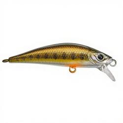 Poisson nageur GUNKI Gamera 50 SP Vairon