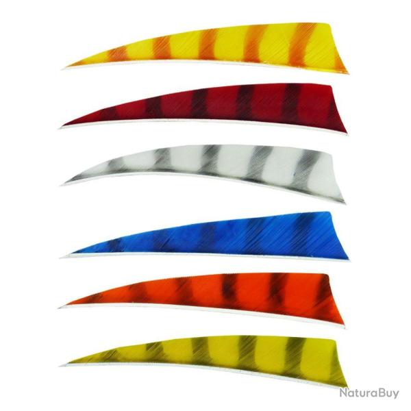 Bearpaw - Plume naturelle Shield 4" Barred Blanc/Noir