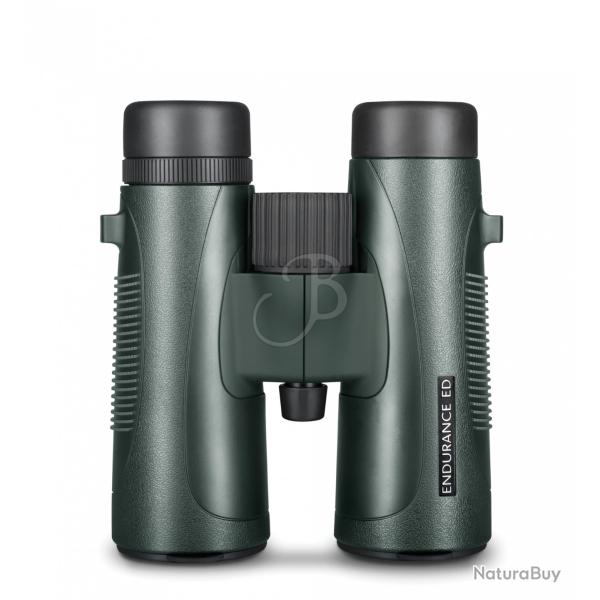 HAWKE - JUMELLE ENDURANCE ED 10X42 - VERT