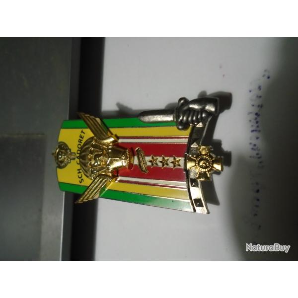 RARE INSIGNE MILITAIRE