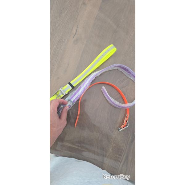 Collier pour chien fluo plusieurs couleurs toute tailles