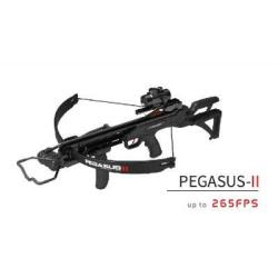 Arbal&egrave;te &agrave; poulie Hori-Zone Pegasus II