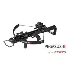 Arbalète à poulie Hori-Zone Pegasus III
