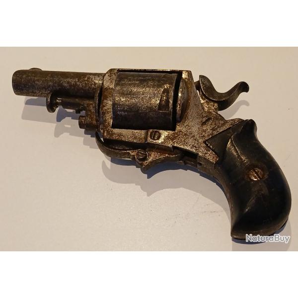 bulldog le parisien dans son jus