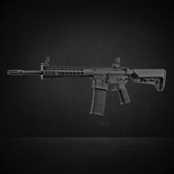 LT-19 G2 M4 Keymod NSR pack complet