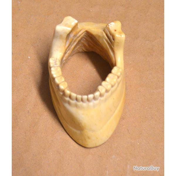 Rare Artisanat de tranch�e os de cheval travaill�