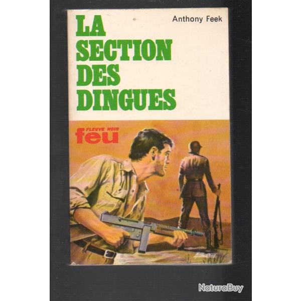 la section des dingues collection feu fleuve noir d'anthony feek