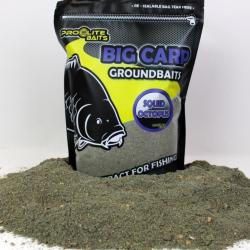Groundbaits Big Carp pro &eacute;lite baits 1,8kg squid octopus