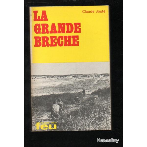 la grande breche collection feu fleuve noir de claude joste israel palestine irgoun britanniques
