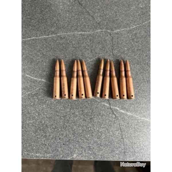 Lot de 10 cartouches neutralis�es, 7,62x54rMosin nagant dragunov
