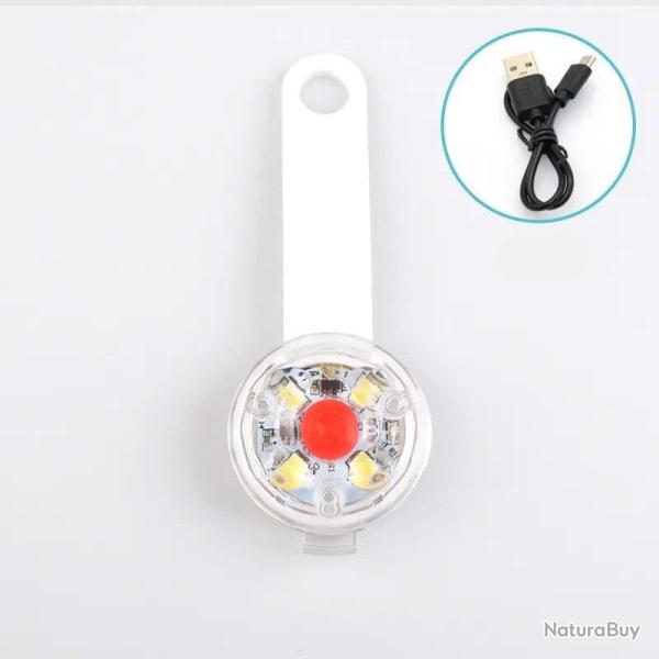 Pendentif � led pour chien - blanc - rechargeable usb - LIVRAISON GRATUITE
