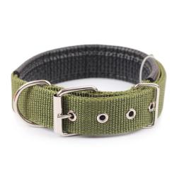 Collier pour chien de toutes tailles - vert - LIVRAISON GRATUITE
