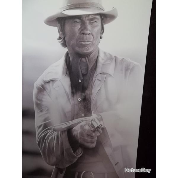 plaque d�corative western d