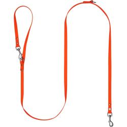 Laisse pour chien Professional Orange