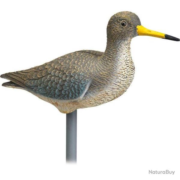 BLETTES LIMICOLES CHEVALIER ABOYEUR HD STEPLAND